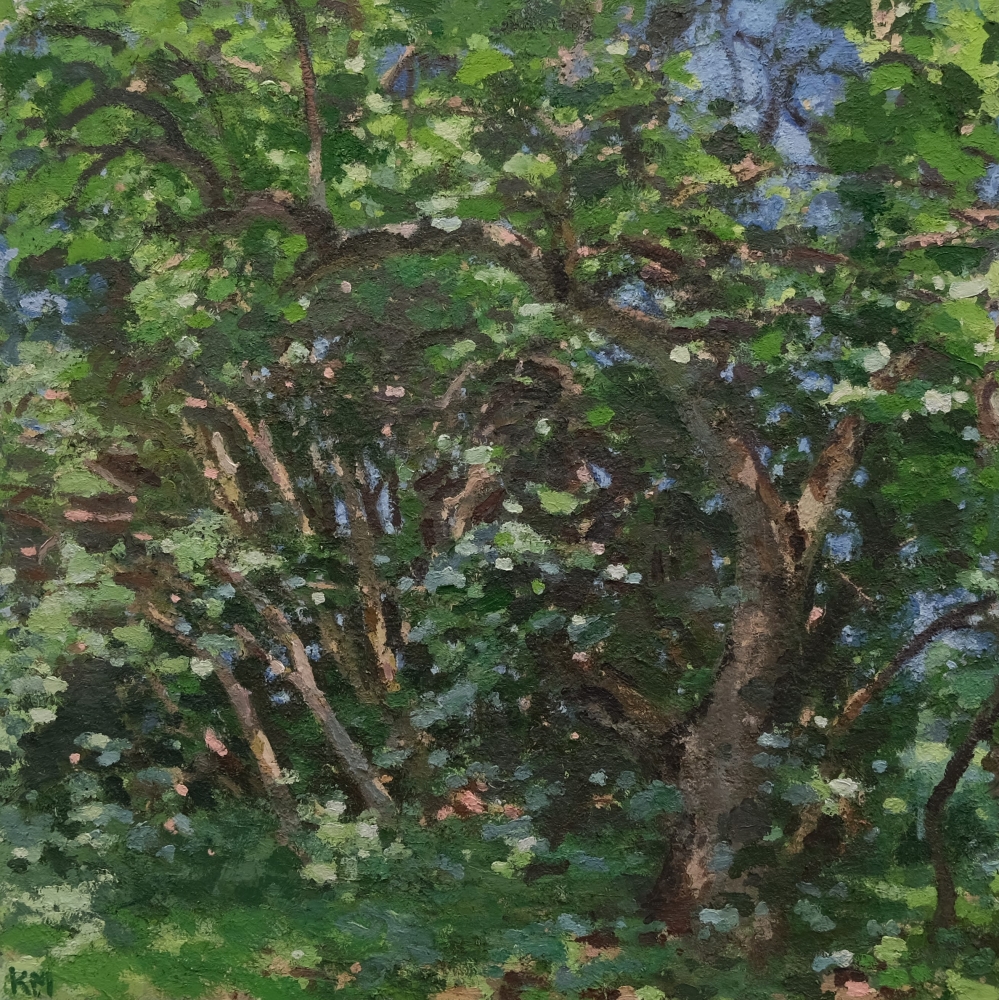 Apple Tree, July, 48&quot; x 48&quot;, Oil On Canvas