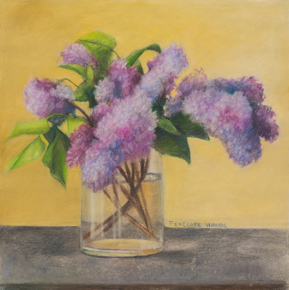 Lilac Study, Pastel On Paper