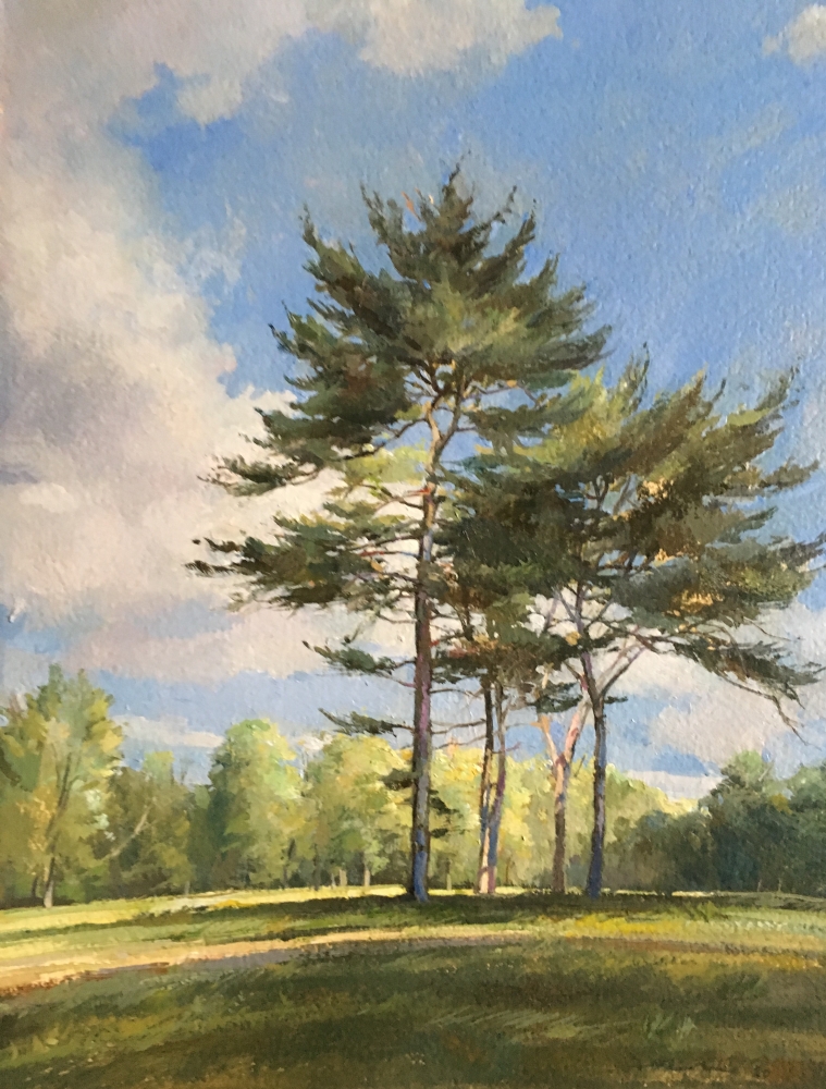 Pines In A&nbsp;Field 1 (SOLD), 15.5&quot; x 11&quot;