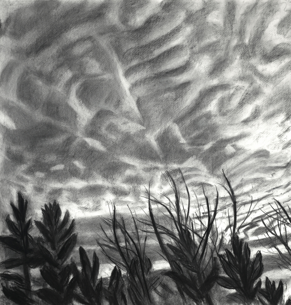 Mackerel Sky I  38" x 36"  Charcoal On Paper