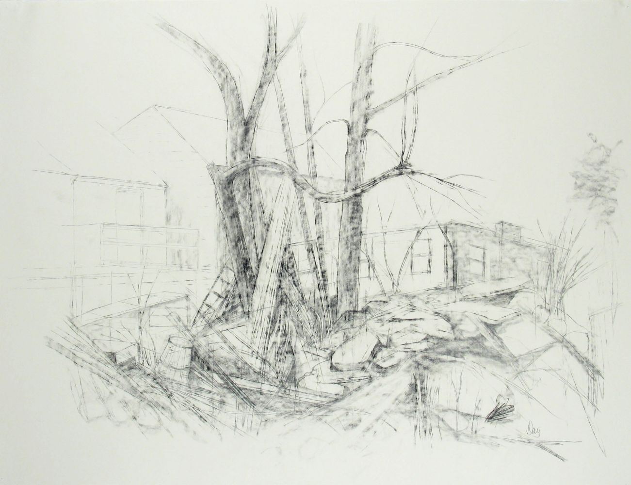 Related to "Yggdrasil", c. 1991  19.75" x 25.88"  Graphite On Paper