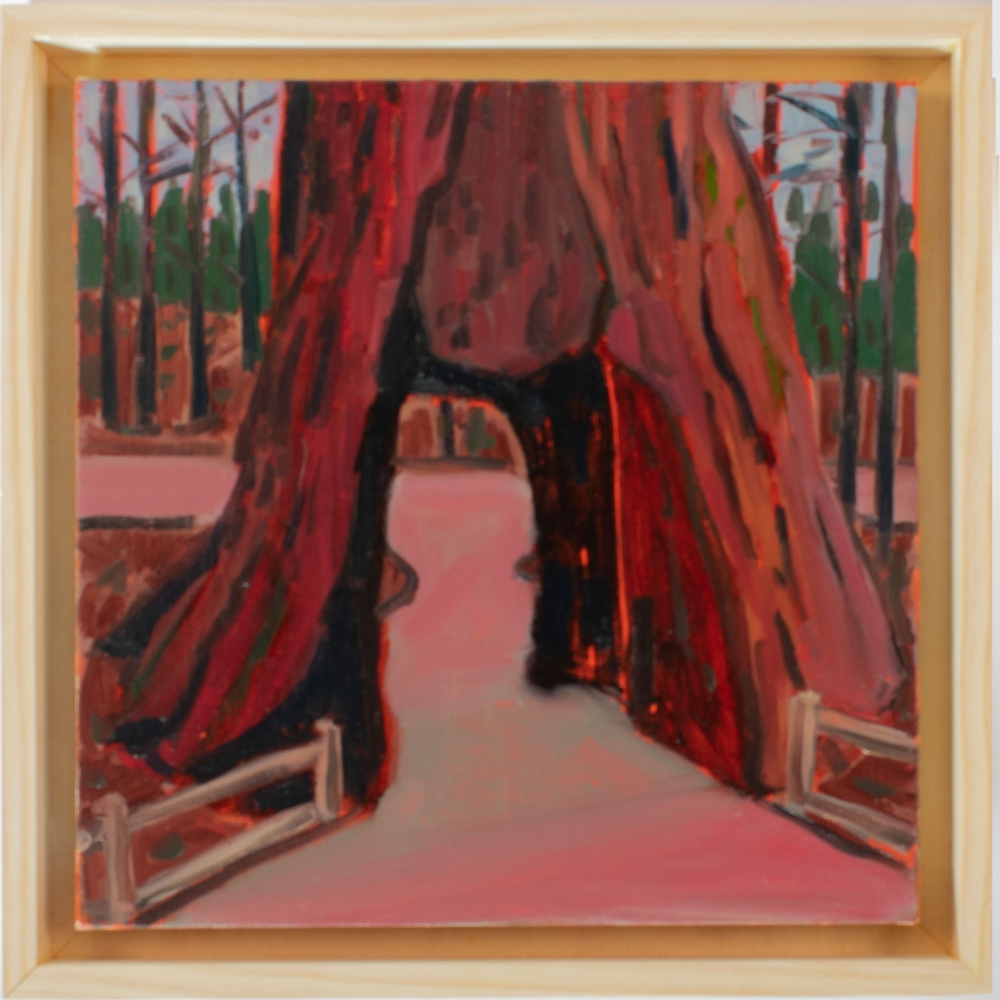 California Tree  12' x 12"  Oil On Canvas