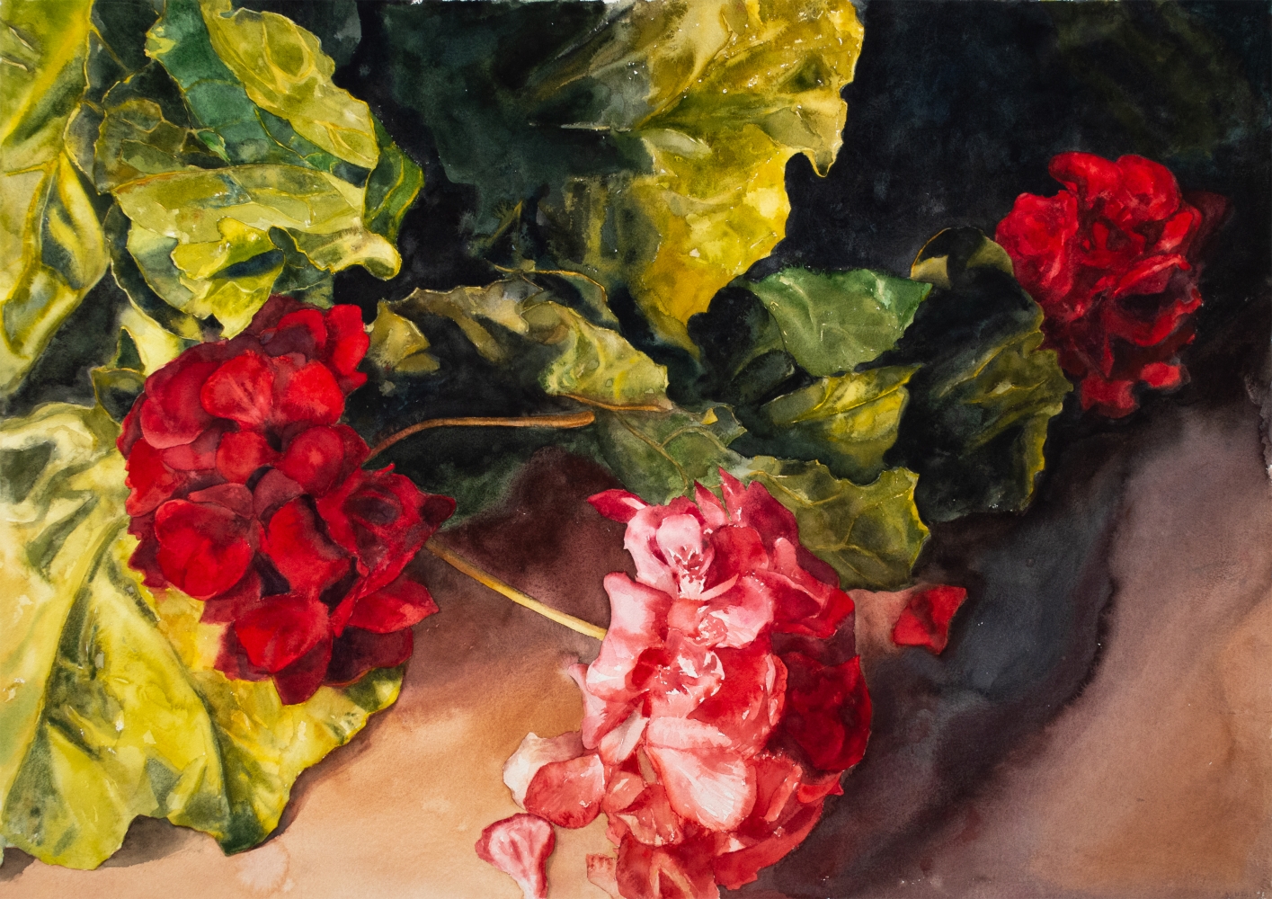 Geraniums And Leafy Greens, 29.5&quot; x 41&quot;