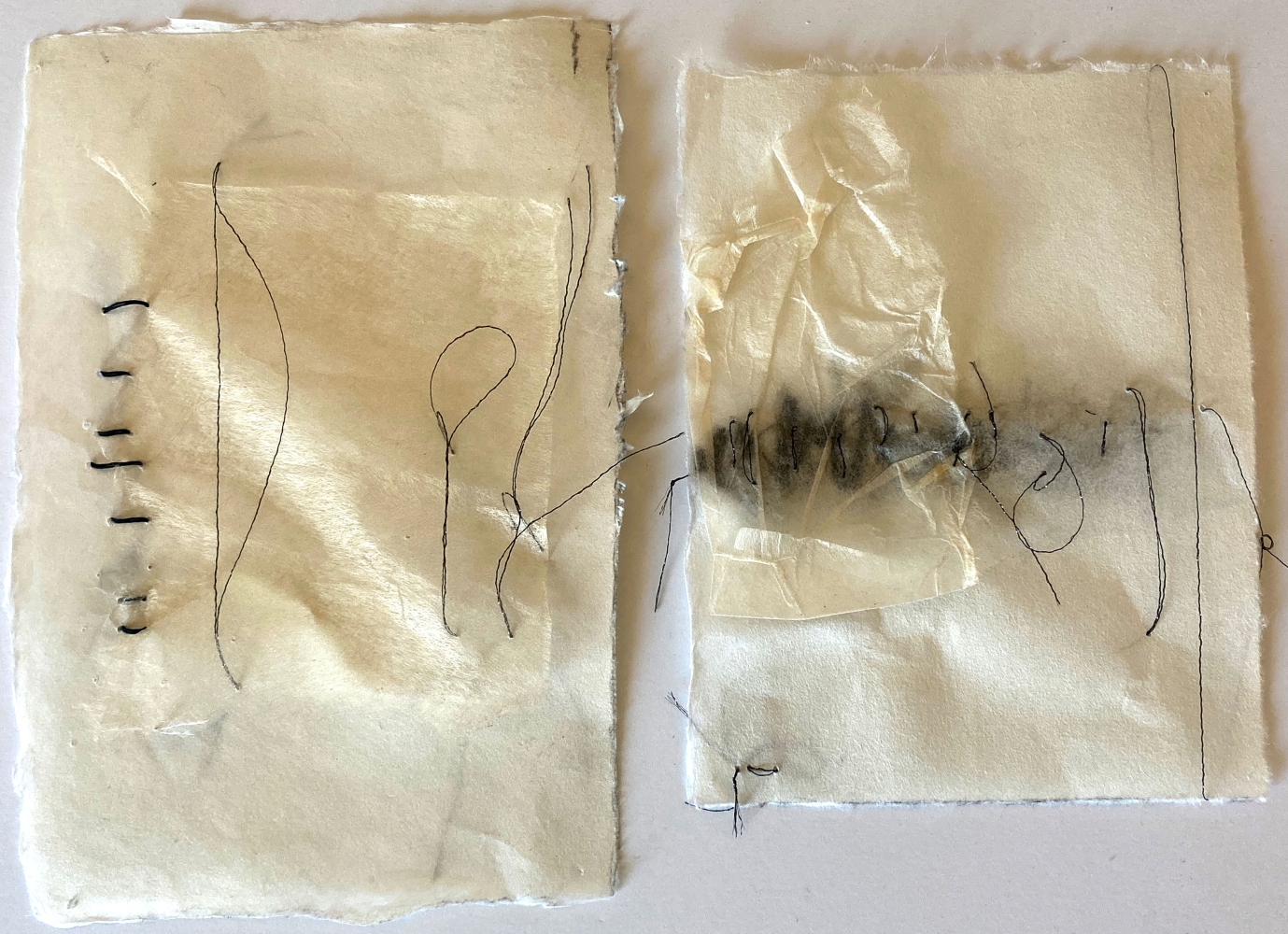Mixed Feelings (Diptych)  8.25" x 11.5"  Silk, Graphite, And Thread On Paper