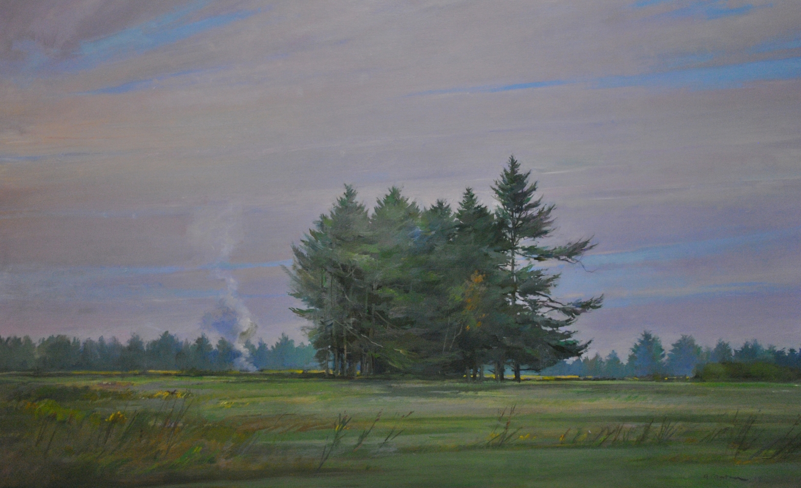 Pines In A&nbsp;Field, 32&quot; x 52&quot;