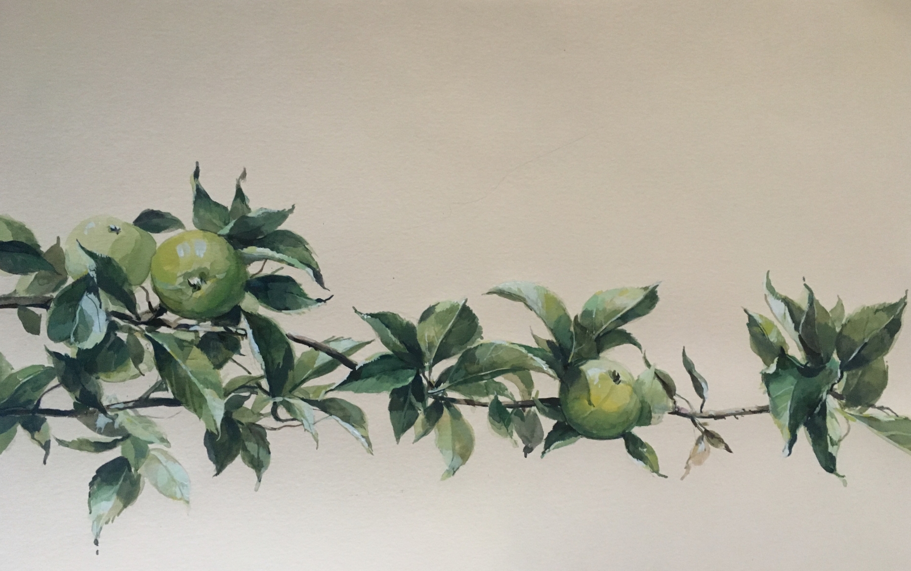 Apple Branch, 15&quot; x 22&quot;, Watercolor On Buff Paper