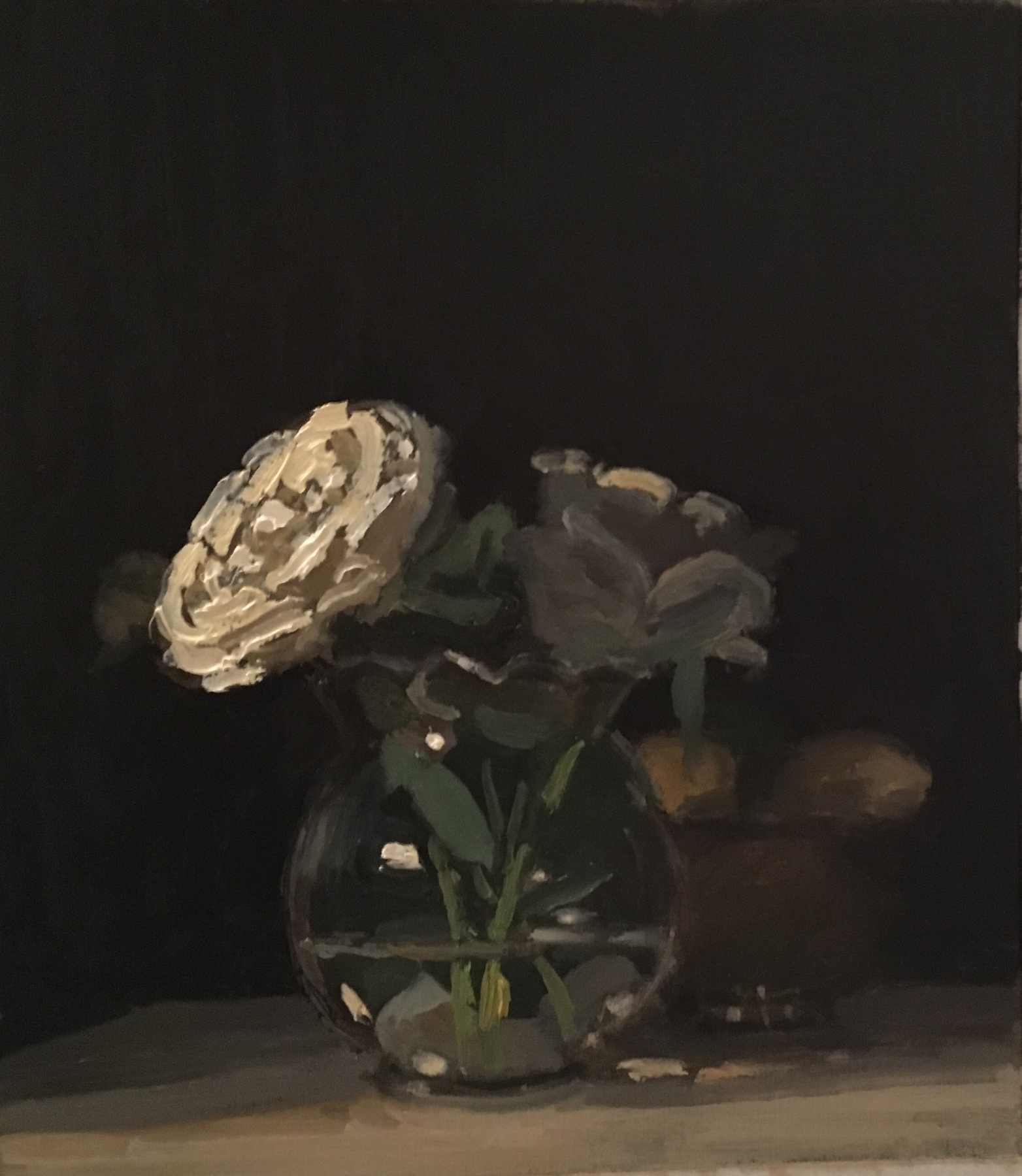 White Rose, 10.5" x 9", Oil On Panel