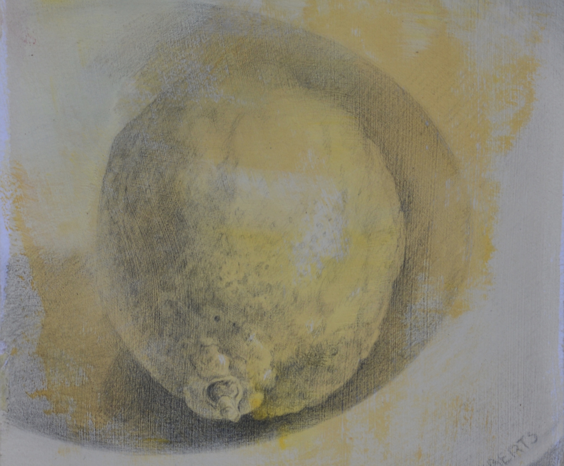 Lemon (Detail), 5.75" x 4.5", Silverpoint With Wash