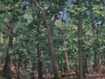 Woodlands, Kurt Moyer, Oil On Canvas