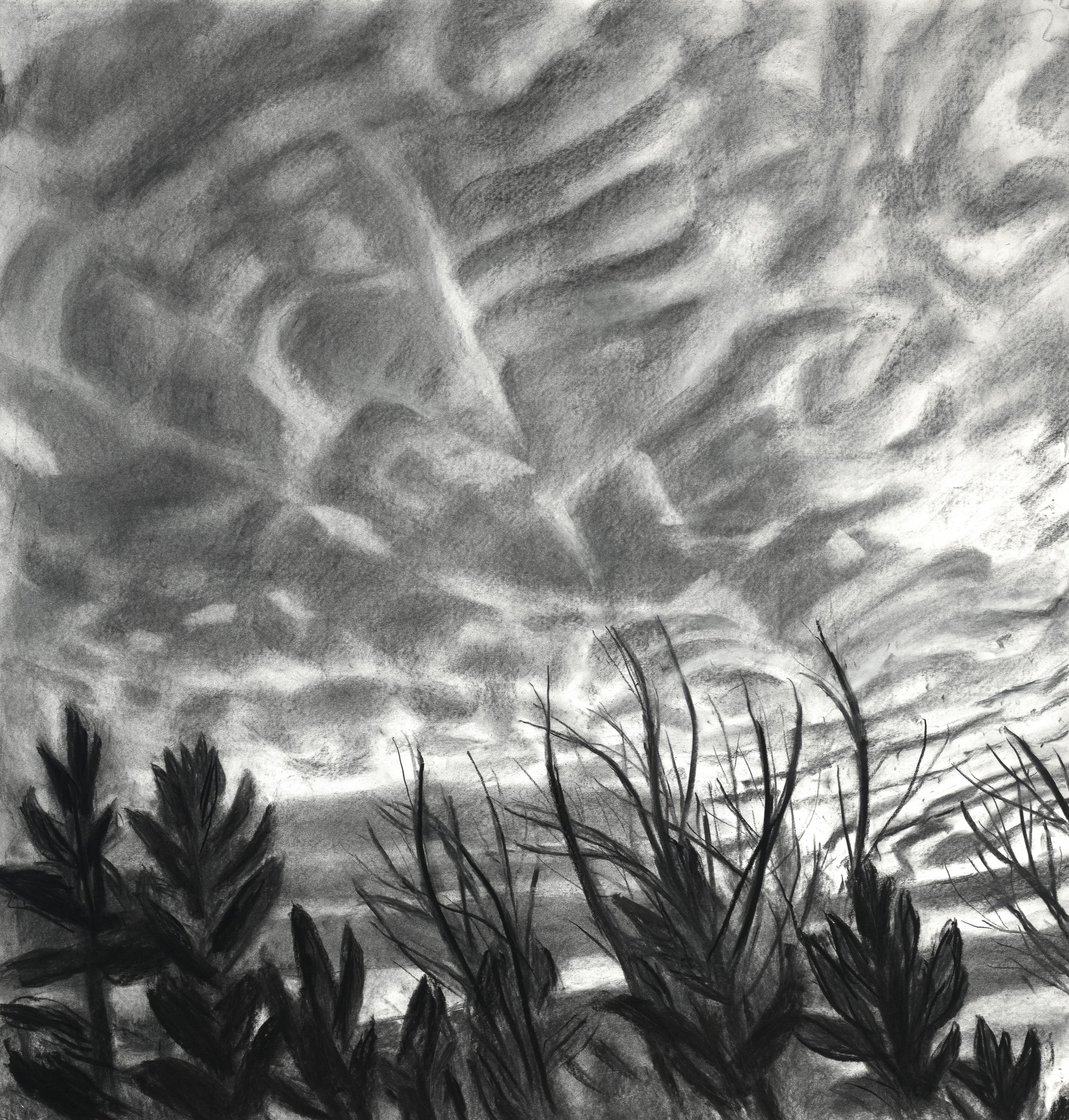 Mackerel Sky III, 44&quot; x 42&quot;, Charcoal On Paper