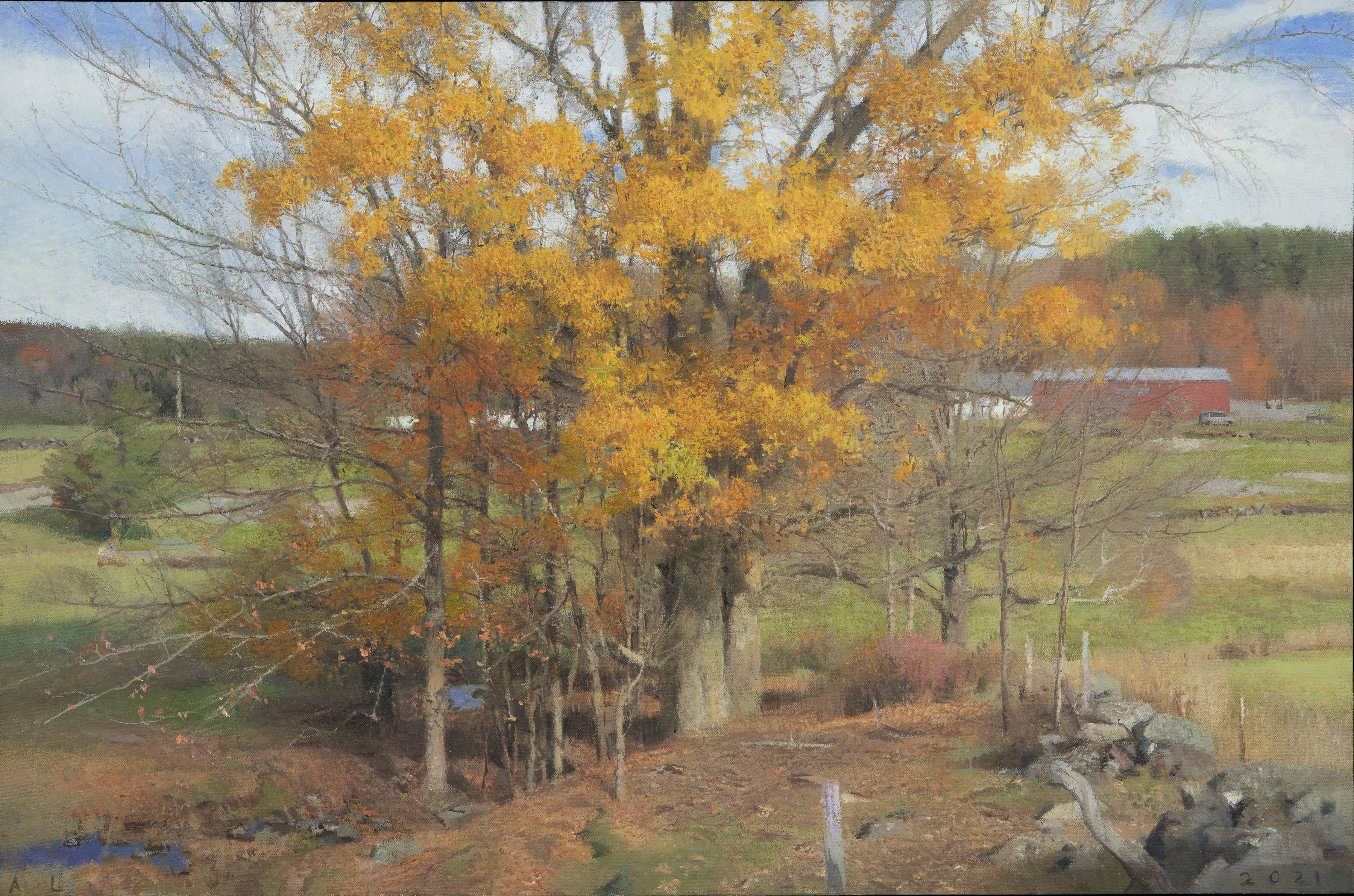Big Oak, October, 24" x 36.5", Oil On Canvas