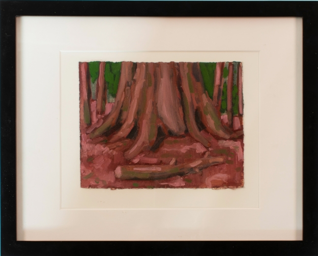 Sequoia Study #3  6" x 8"  Oil On Paper