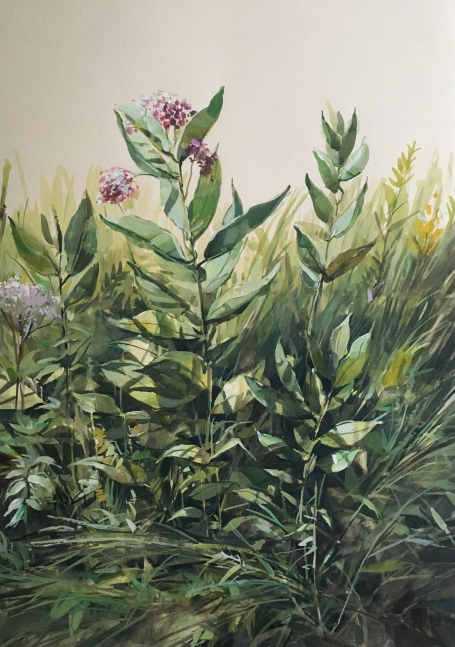 Wildflowers 22" x 15"  Watercolor On Buff Paper