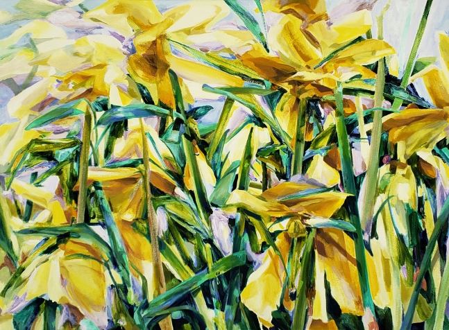 Naomi Chung, Yellow Daffodil   42" x 55"  Oil On Canvas
