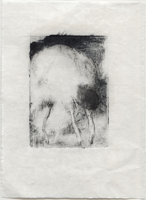 First Born  7" x 5"  Monotype