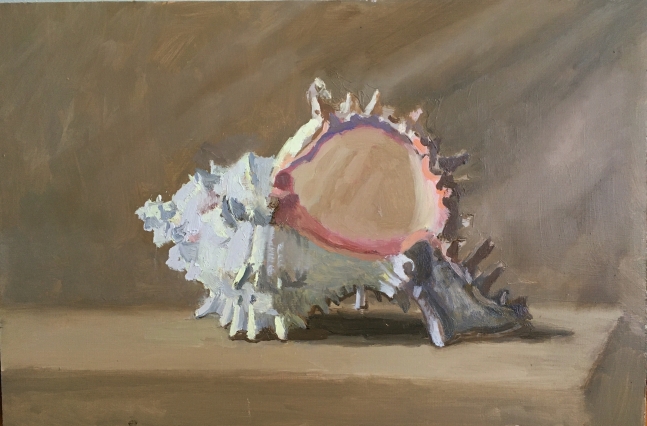 Shell  9" x 13.5"  Oil On Panel