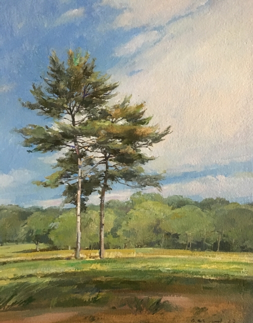 Pines In A&nbsp;Field 2 (SOLD), 15.5 x 11