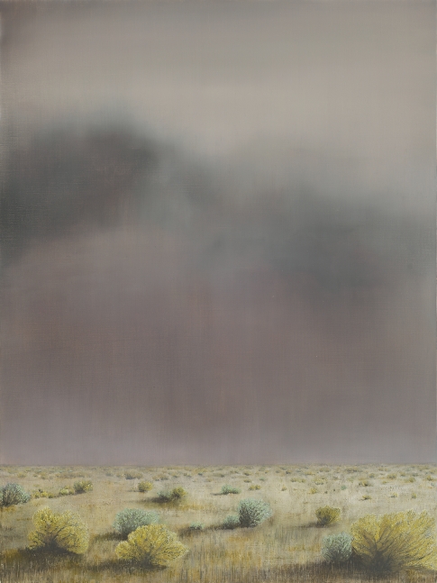 Rhea Cutillo, Storm Over High Desert 40" x 30"  Oil On Linen