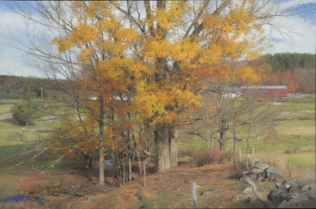Big Oak, October  24" x 36.5"  Oil On Canvas